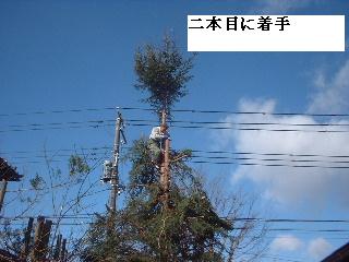 伐採・剪定完了_f0031037_1834312.jpg