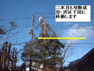 伐採・剪定完了_f0031037_1835850.jpg