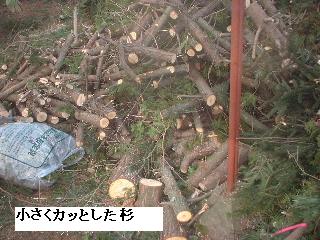 伐採・剪定完了_f0031037_18364774.jpg