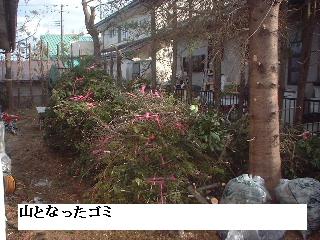 伐採・剪定完了_f0031037_18371581.jpg
