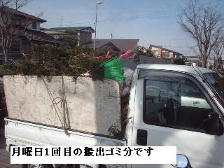 伐採・剪定完了_f0031037_1837191.jpg