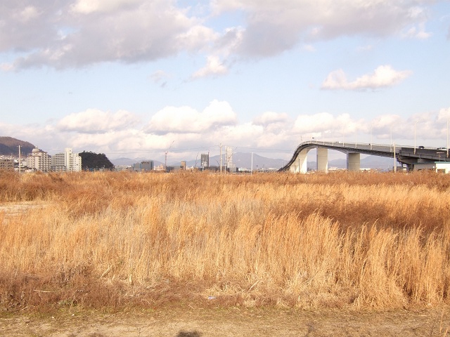 ナフコ・タイム・・・広島市西部沿岸部に大型ホームセンター相次ぎ開業へ_f0029441_934290.jpg