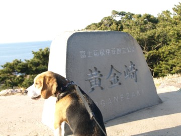 c0119142_113489.jpg