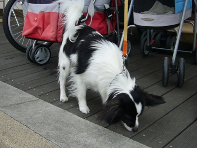 e0100046_17332960.jpg