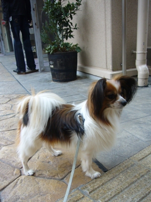 e0100046_1746869.jpg