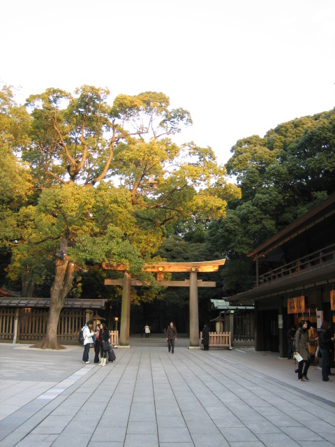 e0009547_0425566.jpg