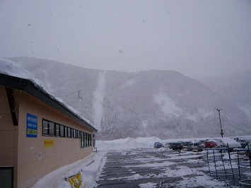 e0037849_6455526.jpg