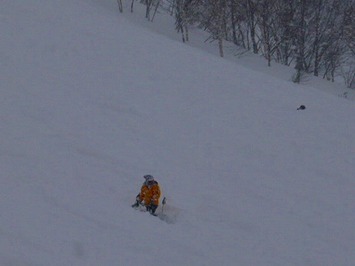e0037849_6471677.jpg