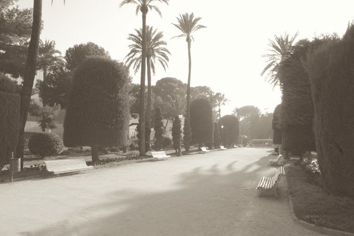 e0100152_4375087.jpg