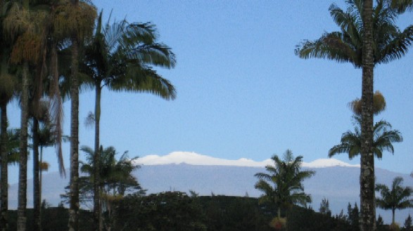 e0126861_1465030.jpg