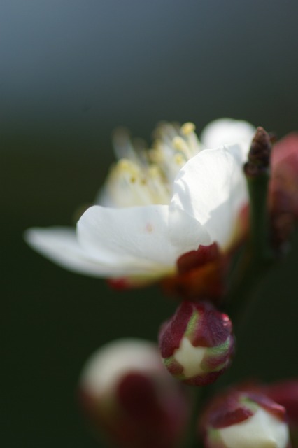 d0141365_024681.jpg