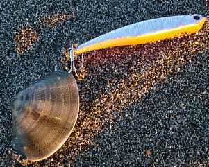 a0096669_20142311.gif