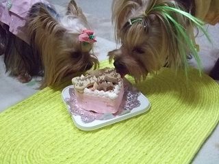 e0120072_120275.jpg