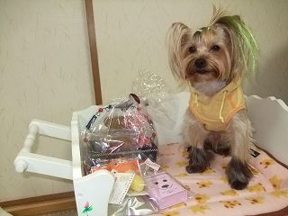 e0120072_122211.jpg