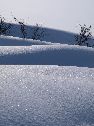 a0025576_020510.jpg
