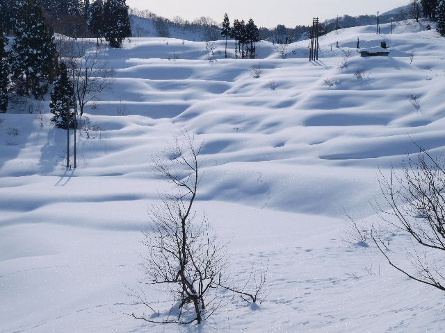 a0025576_0223038.jpg