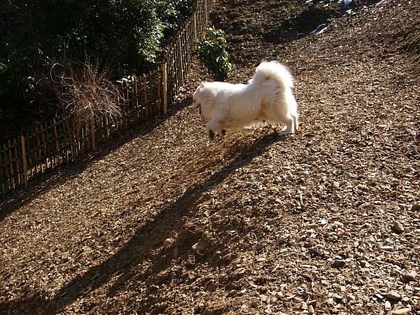プラン_c0109780_223723.jpg