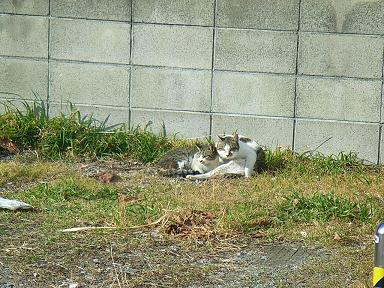 b0095981_20104126.jpg