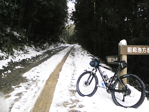 a0096787_22282149.gif