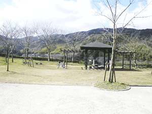a0096787_2271253.gif
