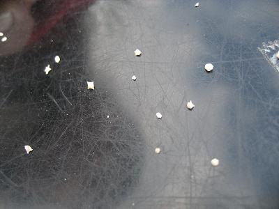 f0117892_22384478.jpg