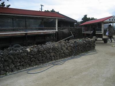 f0117892_22403927.jpg