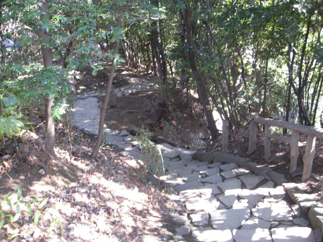 d0133693_1744141.jpg