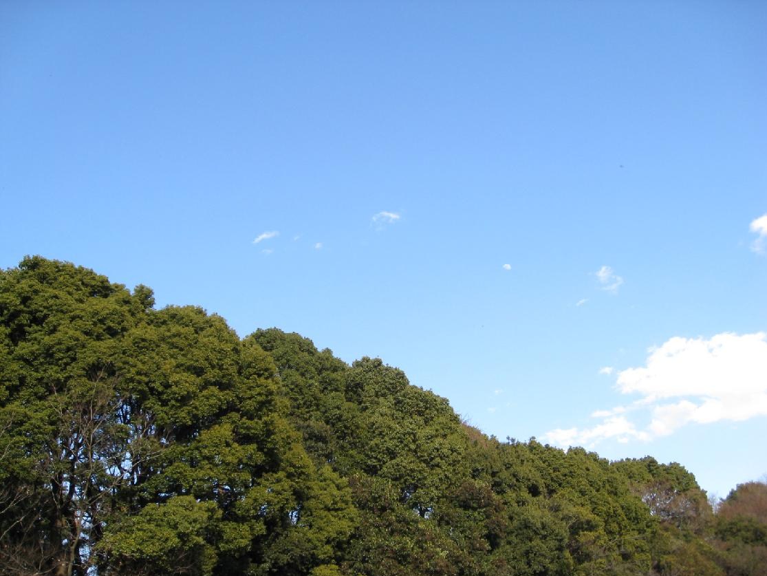 d0133693_18263095.jpg