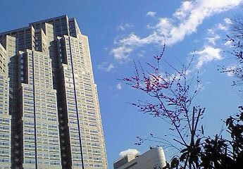 これな~んだ?_d0091994_18121195.jpg