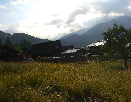 新鮮観光地その② イノシシ園_e0077899_874656.jpg