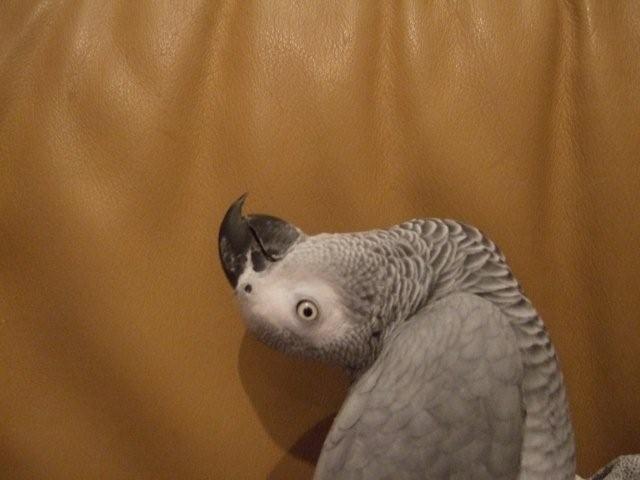 c0133013_01321.jpg