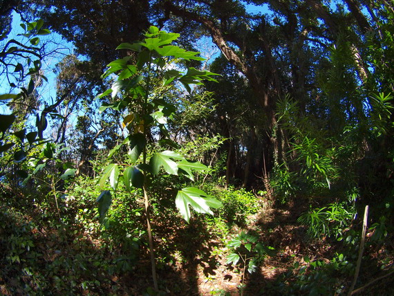 d0090322_19133044.jpg