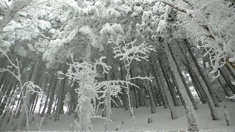 f0044029_20464051.jpg