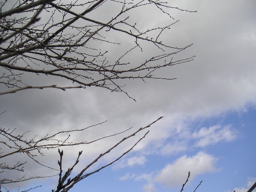 b0088444_013830.jpg