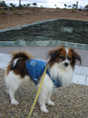 e0100046_1622249.jpg