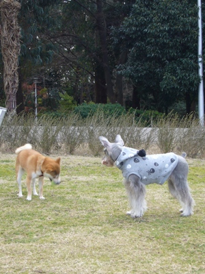 e0100046_16304896.jpg