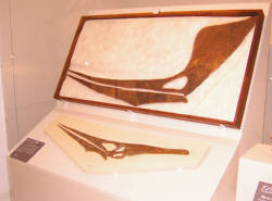 e0033751_2256511.jpg