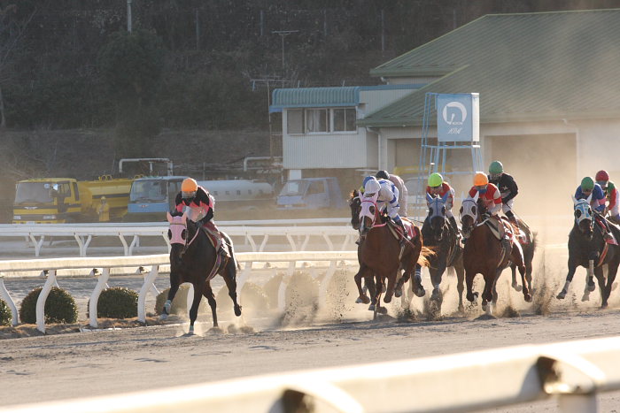 高知競馬、全レースを高知野菜に乗っ取られる_a0077663_7364833.jpg