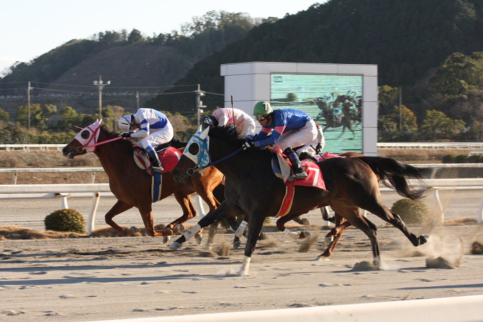 高知競馬、全レースを高知野菜に乗っ取られる_a0077663_7371999.jpg