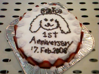 プリンちゃんの誕生日!_c0128487_1944368.jpg