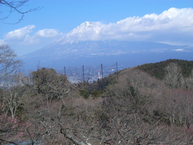 岩本山公園で富士をみる_c0087392_23463760.jpg