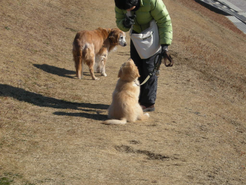 生後９０日、ここに来て２週間_e0130299_2320259.jpg