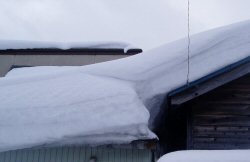 雪道をキョロキョロしながら_a0046306_7464887.jpg