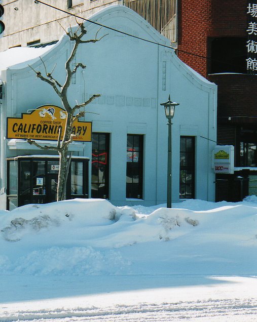 雪の函館・末広町界隈、その２(はこだて坂のある町の風景)_f0142606_6415556.jpg