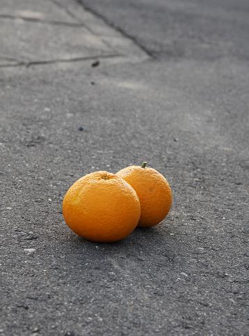 c0134408_11211143.jpg