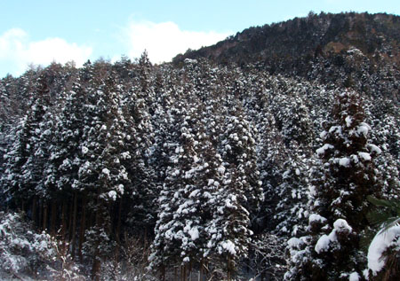 雪の鞍馬へ_e0048413_21163345.jpg