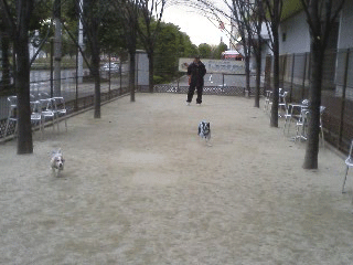 e0080117_2252636.gif