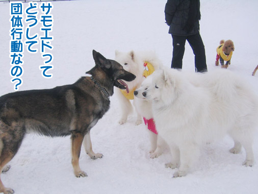 楽しかったり、嬉しかったり、そして悲しかったり..._a0044521_1381634.jpg