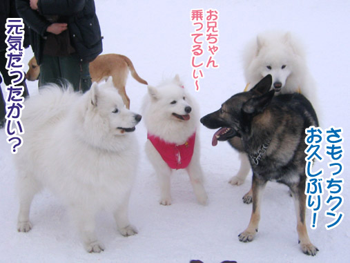 楽しかったり、嬉しかったり、そして悲しかったり..._a0044521_138422.jpg