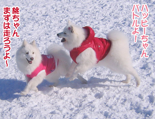 楽しかったり、嬉しかったり、そして悲しかったり..._a0044521_139591.jpg